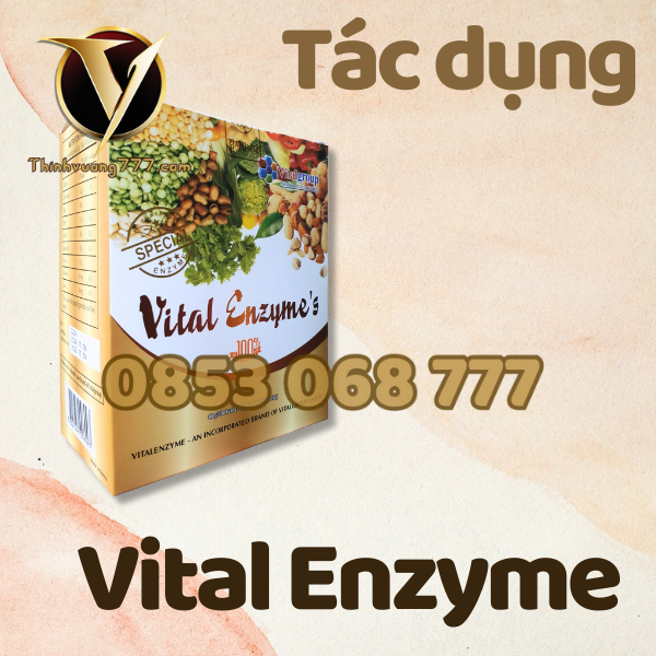 Tac-dung-cua-Vital-Enzyme